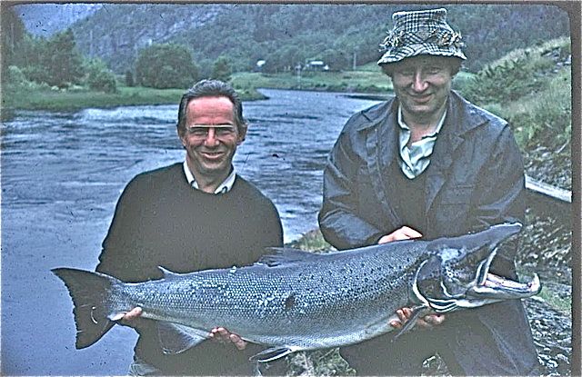 Bolstadelva åpnes igjen for laksefiske til sommeren!
